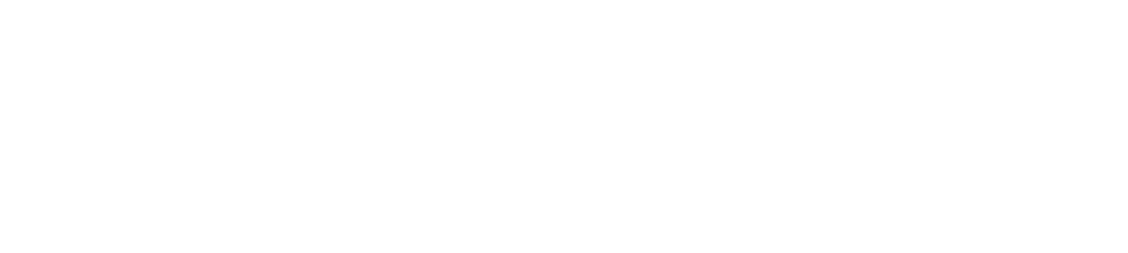 logo_fr_white-2021